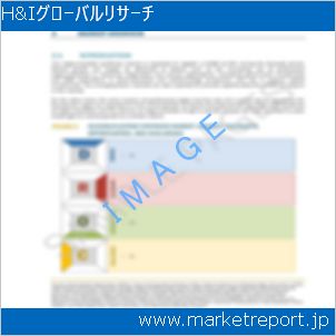 市場と産業調査レポートのイメージ